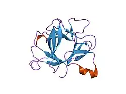 1twe: INTERLEUKIN 1 BETA MUTANT F101Y