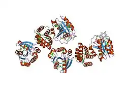 1upt: STRUCTURE OF A COMPLEX OF THE GOLGIN-245 GRIP DOMAIN WITH ARL1