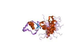 1uvg: SOLUTION STRUCTURE OF THE 15TH DOMAIN OF LEKTI