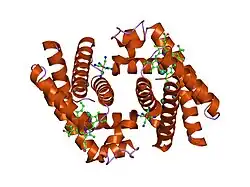 1ux9: MAPPING PROTEIN MATRIX CAVITIES IN HUMAN CYTOGLOBIN THROUGH XE ATOM BINDING: A CRYSTALLOGRAPHIC INVESTIGATION