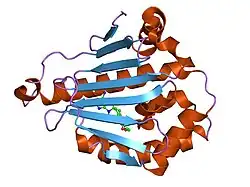 1uyf: HUMAN HSP90-ALPHA WITH 8-(2-CHLORO-3,4,5-TRIMETHOXY-BENZYL) -2-FLUORO-9-PENT-4-YLNYL-9H-PURIN-6-YLAMINE
