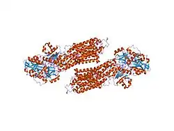 1vfp: Crystal structure of the SR CA2+-ATPase with bound AMPPCP