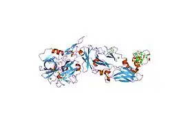 1wss: Human Factor Viia-Tissue Factor in Complex with peprid mimetic inhibitor that has two charge groups in P2 and P4