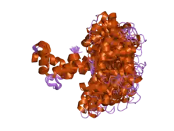 1x02: Solution structure of stereo array isotope labeled (SAIL) calmodulin