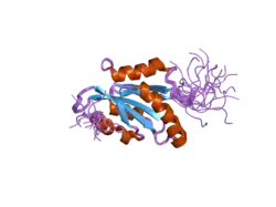 1x67: Solution structure of the cofilin homology domain of HIP-55 (drebrin-like protein)