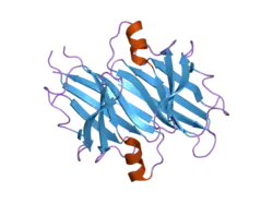 1x7s: The X-ray crystallographic structure of the amyloidogenic variant TTR Tyr78Phe