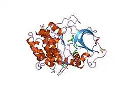 1xh4: Crystal Structures of Protein Kinase B Selective Inhibitors in Complex with Protein Kinase A and Mutants