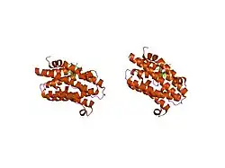 1xk0: Crystal Structures of the G139A, G139A-NO and G143H Mutants of Human Heme Oxygenase-1