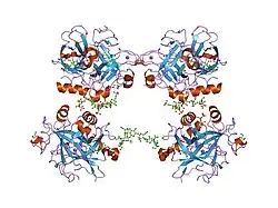 1xmn: Crystal structure of thrombin bound to heparin