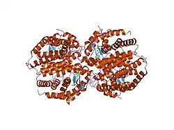 1xv9: crystal structure of CAR/RXR heterodimer bound with SRC1 peptide, fatty acid, and 5b-pregnane-3,20-dione.