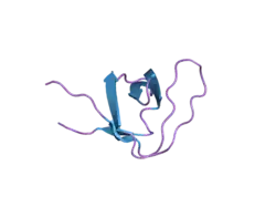 1y0m: Crystal structure of the SH3 domain of phospholipase C Gamma-1