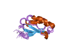 1y3k: Solution structure of the apo form of the fifth domain of Menkes protein