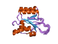 1y9j: Solution structure of the rat Sly1 N-terminal domain