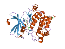 1yi4: Structure of Pim-1 bound to adenosine