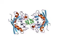 1ynd: Structure of human cyclophilin A in complex with the novel immunosuppressant sanglifehrin A at 1.6A resolution