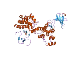 1yoj: Crystal structure of Src kinase domain