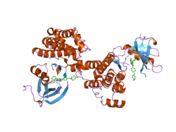 1yol: Crystal structure of Src kinase domain in complex with CGP77675