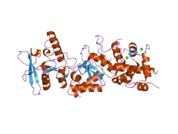 1yrt: Crystal Structure analysis of the adenylyl cyclaes catalytic domain of adenylyl cyclase toxin of Bordetella pertussis in presence of c-terminal calmodulin