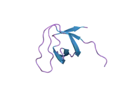 1ywp: Phospholipase Cgamma1 SH3