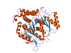 1z5w: Crystal Structure of gamma-tubulin bound to GTP