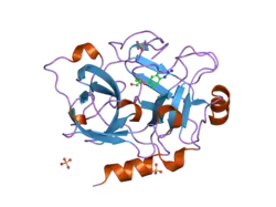 1zmn: Crystal Structure of the Catalytic Domain of Coagulation Factor XI in Complex with (R)-1-(4-(4-(hydroxymethyl)-1,3,2-dioxaborolan-2-yl)phenyl)guanidine
