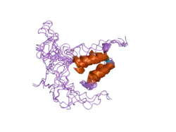 1zmz: Solution structure of the N-terminal domain (M1-S98) of human centrin 2