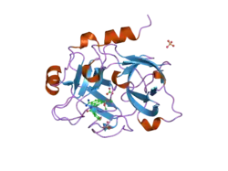 1zsk: Crystal Structure of the Catalytic Domain of Coagulation Factor XI in Complex with 6-Carbamimidoyl-4-(3-hydroxy-2-methyl-benzoylamino)-naphthalene-2-carboxylic acid methyl ester