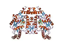 1zvl: Rat Neuronal Nitric Oxide Synthase Oxygenase Domain complexed with natural substrate L-Arg.