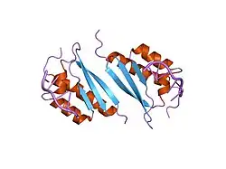 1zzi: Crystal Structure Analysis of the third KH domain of hnRNP K in complex with ssDNA