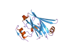 2a25: Crystal structure of Siah1 SBD bound to the peptide EKPAAVVAPITTG from SIP