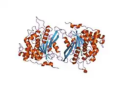 2afz: Crystal structure of human glutaminyl cyclase in complex with 1-vinylimidazole