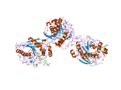 2ah9: Crystal Structure of Human M340H-Beta-1,4-Galactosyltransferase-I (M340H-B4Gal-T1) in Complex with Chitotriose