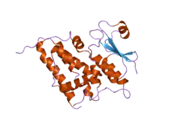 2ahe: Crystal structure of a soluble form of CLIC4. intercellular chloride ion channel
