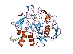 2aii: wild-type Formylglycine generating enzyme reacted with iodoacetamide