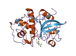 2ato: Crystal structure of Human Cathepsin K in complex with myocrisin