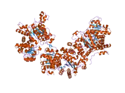2aw5: Crystal structure of a human malic enzyme