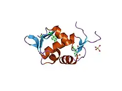 2axi: HDM2 in complex with a beta-hairpin