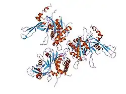 2ayn: Structure of USP14, a proteasome-associated deubiquitinating enzyme