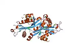 2b3u: Human Spermine spermidine acetyltransferase K26R mutant