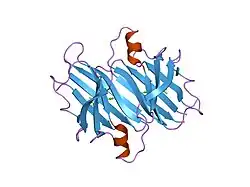 2b9a: Human transthyretin (TTR) complexed with diflunisal analogues- TTR.3',5'-difluorobiphenyl-4-carboxylic acid