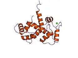 2bbm: SOLUTION STRUCTURE OF A CALMODULIN-TARGET PEPTIDE COMPLEX BY MULTIDIMENSIONAL NMR