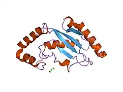 2bep: CRYSTAL STRUCTURE OF UBIQUITIN CONJUGATING ENZYME E2-25K