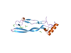 2bhk: CRYSTAL STRUCTURE OF HUMAN GROWTH AND DIFFERENTIATION FACTOR 5 (GDF5)