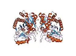 2boa: HUMAN PROCARBOXYPEPTIDASE A4.