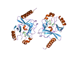 2bqz: CRYSTAL STRUCTURE OF A TERNARY COMPLEX OF THE HUMAN HISTONE METHYLTRANSFERASE PR-SET7 (ALSO KNOWN AS SET8)