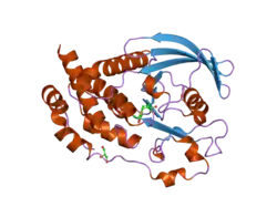 2bv5: CRYSTAL STRUCTURE OF THE HUMAN PROTEIN TYROSINE PHOSPHATASE PTPN5 AT 1.8A RESOLUTION