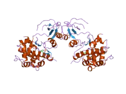 2bva: CRYSTAL STRUCTURE OF THE HUMAN P21-ACTIVATED KINASE 4