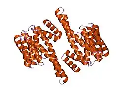 2c1n: MOLECULAR BASIS FOR THE RECOGNITION OF PHOSPHORYLATED AND PHOSPHOACETYLATED HISTONE H3 BY 14-3-3