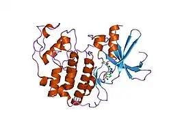 2c6m: CRYSTAL STRUCTURE OF THE HUMAN CDK2 COMPLEXED WITH THE TRIAZOLOPYRIMIDINE INHIBITOR