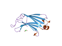 2chd: CRYSTAL STRUCTURE OF THE C2A DOMAIN OF RABPHILIN-3A